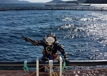 Techno Dive - diving vessel for subsea operations - aquaculture